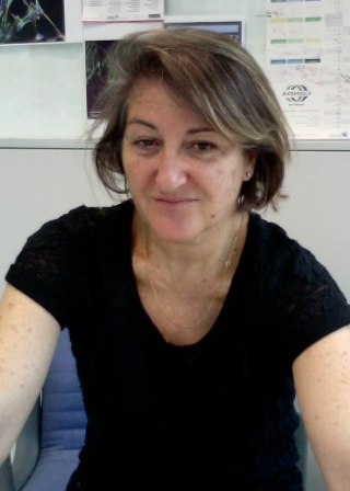 Associate professor Rosario Sanchez-Pernaute